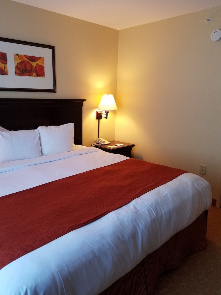 Suite, 1 Bedroom, Non Smoking photo 2