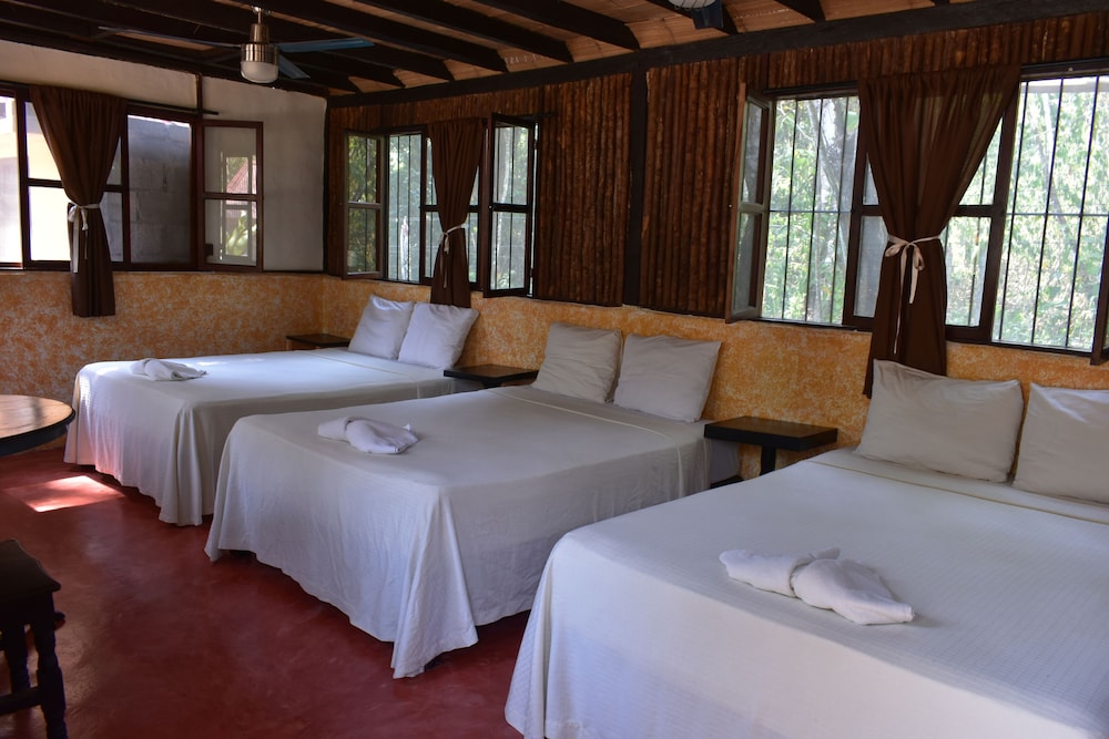 Family Room, Multiple Beds, Private Bathroom photo 1