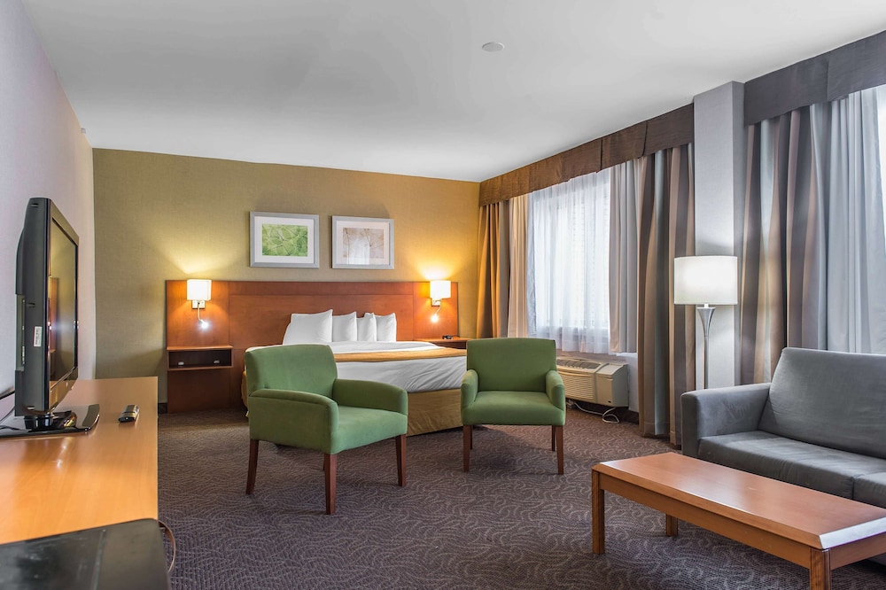 Suite, 1 King Bed, Non Smoking - Photo 1