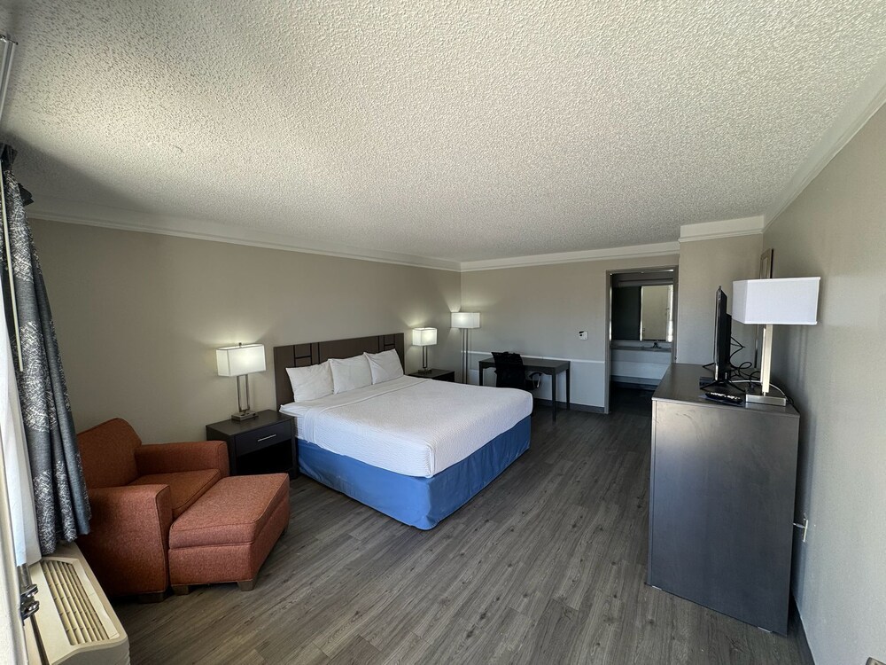 Room, 1 King Bed, Non Smoking