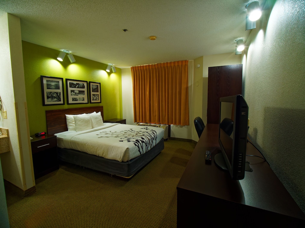 Standard Room, 1 Queen Bed, Non Smoking - Photo 2