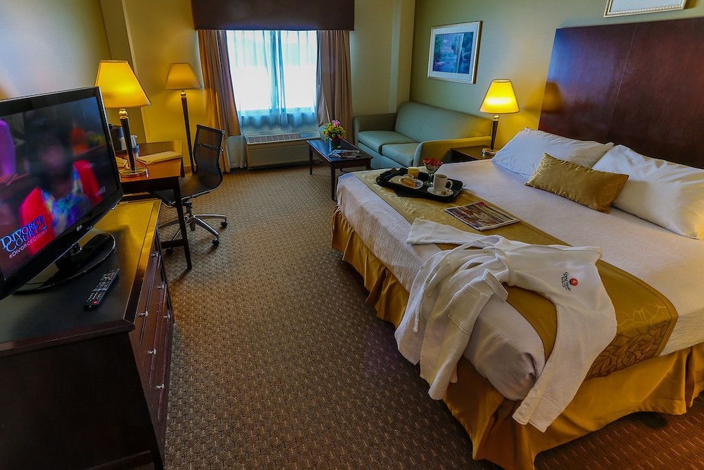 Standard Room, 1 King Bed with Sofa bed
