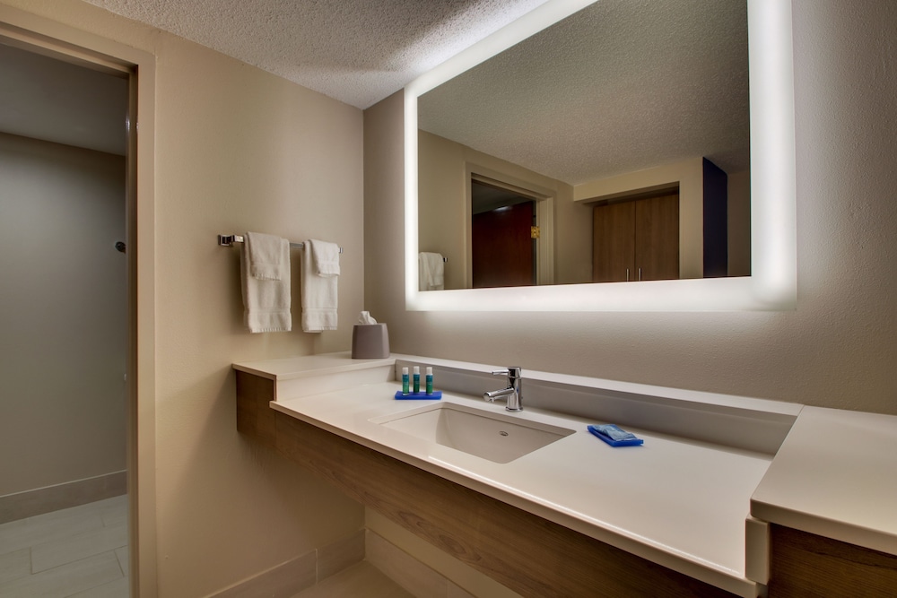 Standard Room, 1 King Bed, Accessible (Communications) - Photo 9