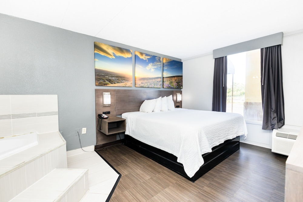 Room, 1 King Bed, Accessible, Non Smoking photo 2