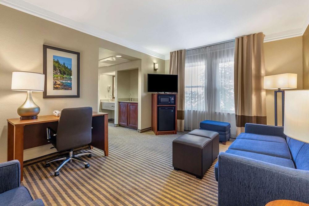 Executive Suite, 1 King Bed with Sofa bed, Non Smoking - Photo 3
