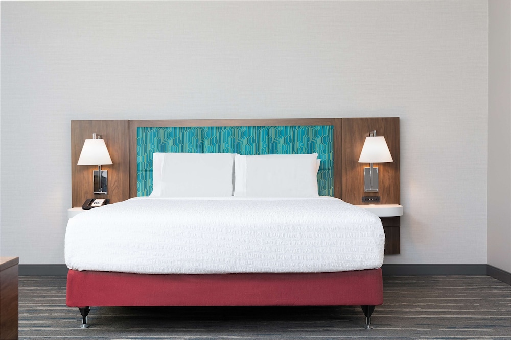 Studio, 1 King Bed, Accessible (Roll-In Shower) - Photo 3