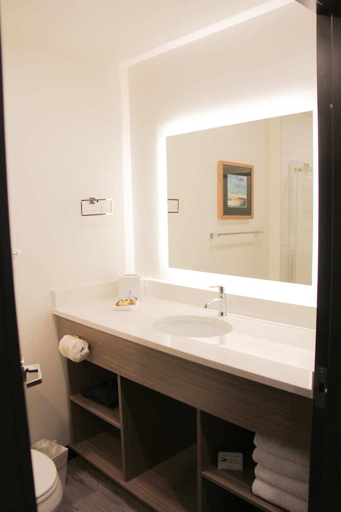 Suite, 1 King Bed, Non Smoking, Refrigerator & Microwave (Shower Only;with Sofabed) - Photo 6