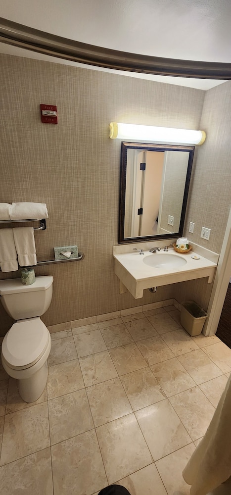 Basic Single Room, Accessible