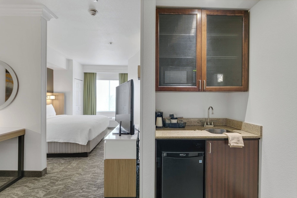Suite, 1 King Bed - Photo 3