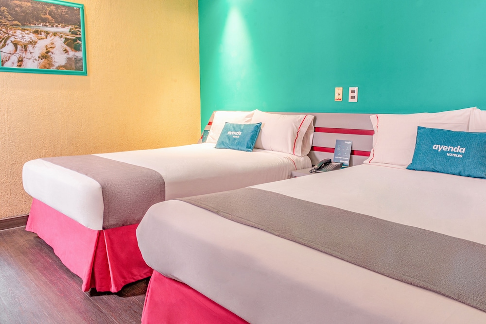Quadruple Room photo 1