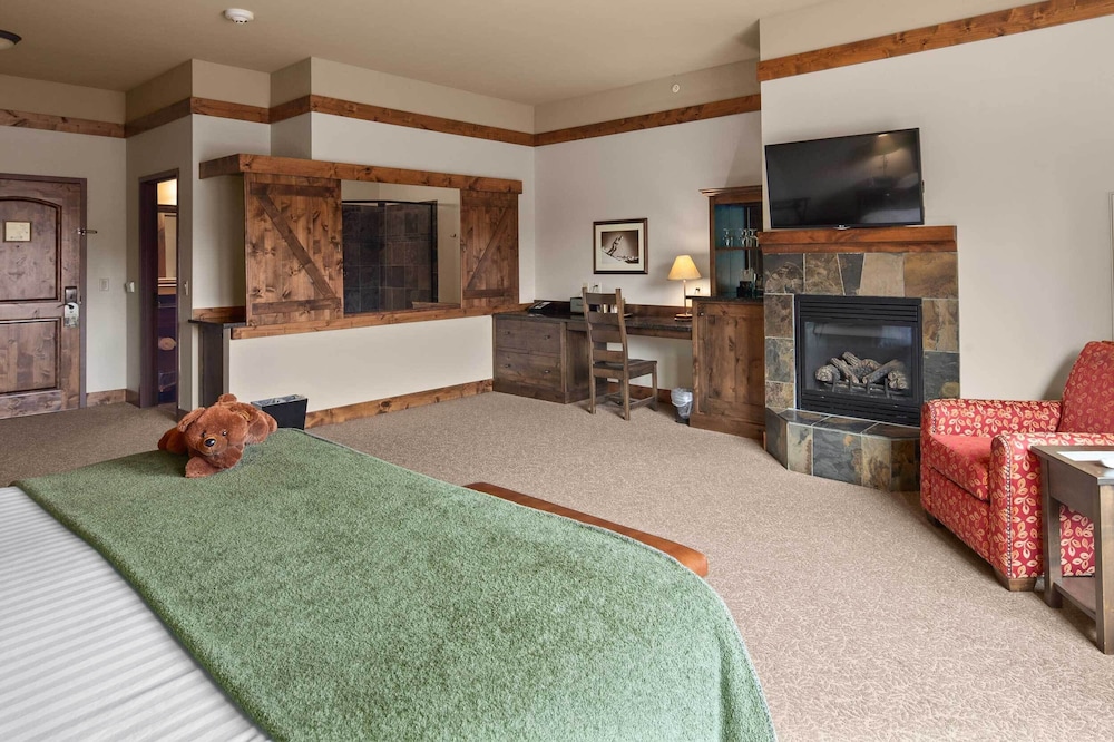 Accessible King Viking Lodge Room - Photo 10