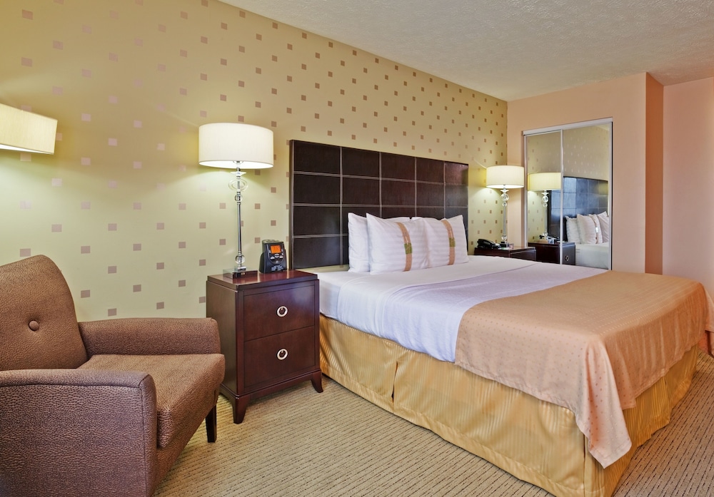 Standard Room, 1 King Bed, Accessible (Communications) - Photo 7