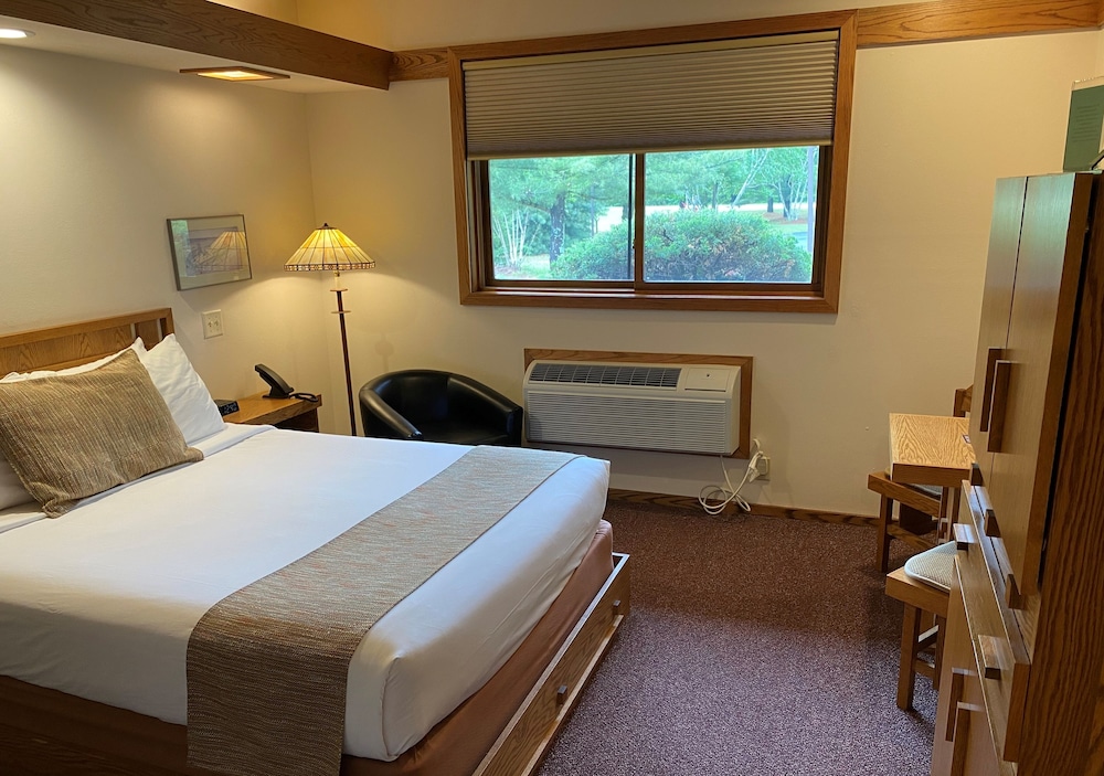 Single Room, 1 Queen Bed