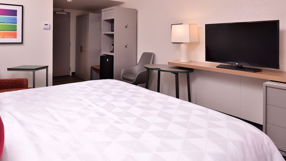 Suite, 1 King Bed with Sofa bed (Additional Living Area)