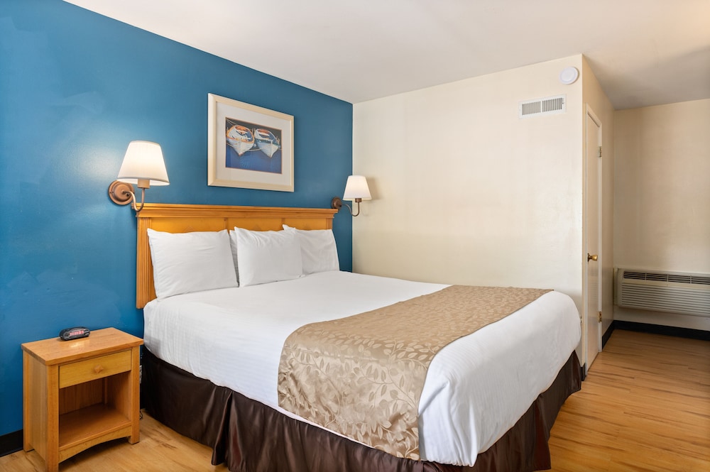 Room, 1 King Bed, Poolside, Pet Friendly photo 3