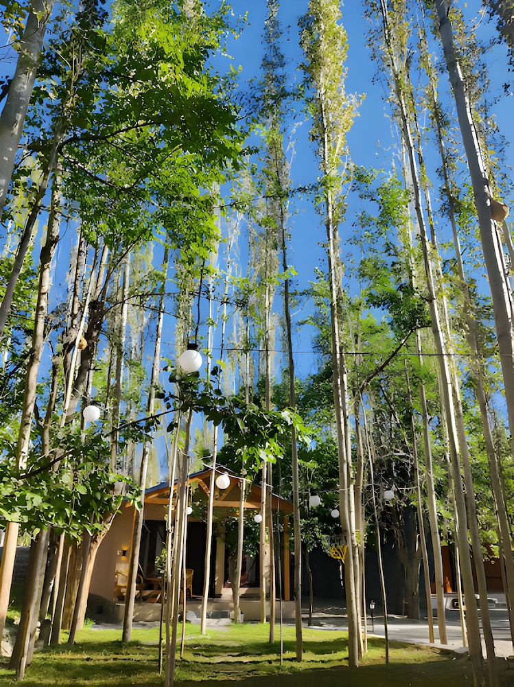 Executive Cottage photo 3