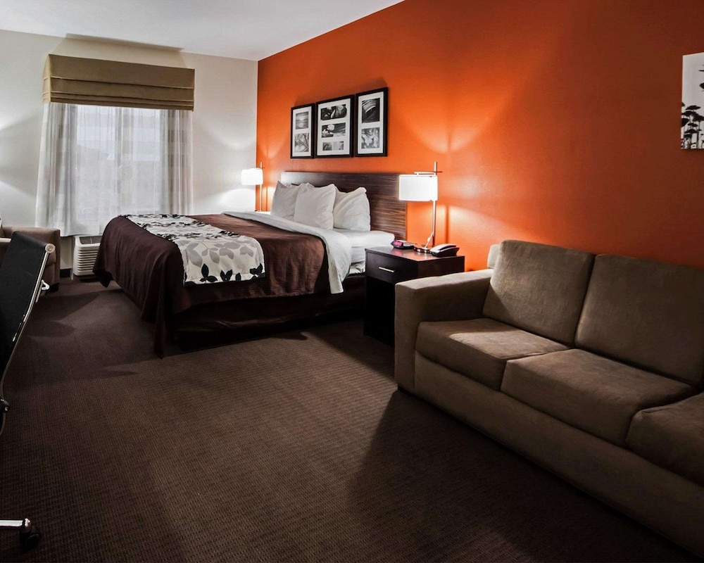 Suite, 1 King Bed with Sofa bed, Non Smoking photo 1