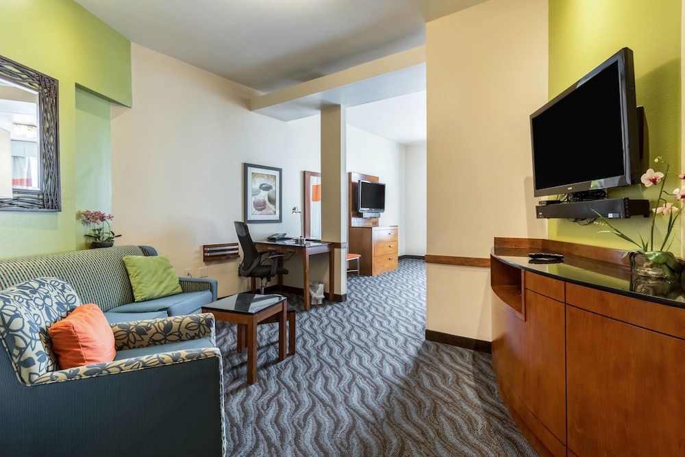 Room, 1 King Bed (Mobility/Hearing Access, Roll-In Shwr) photo 1