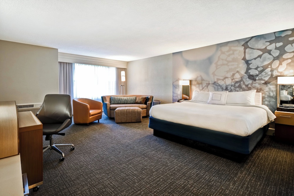 Room, 1 King Bed (Mobility/Hearing Access, Roll-In Shwr) - Photo 4