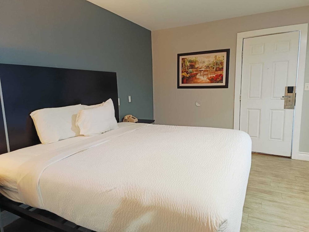 Deluxe Suite, Multiple Beds, Non Smoking photo 3