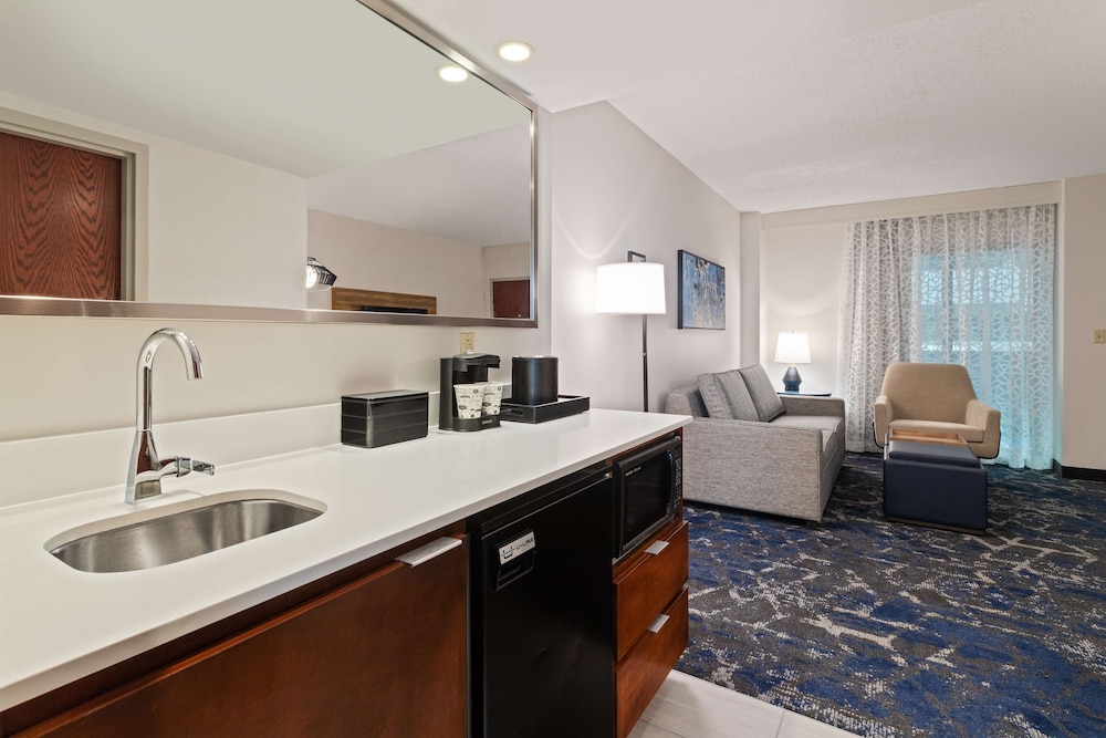 Suite, 1 King Bed, Accessible, Bathtub (Mobility & Hearing) - Photo 6