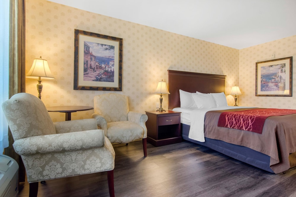 Standard Room, 1 King Bed, Non Smoking - Photo 1