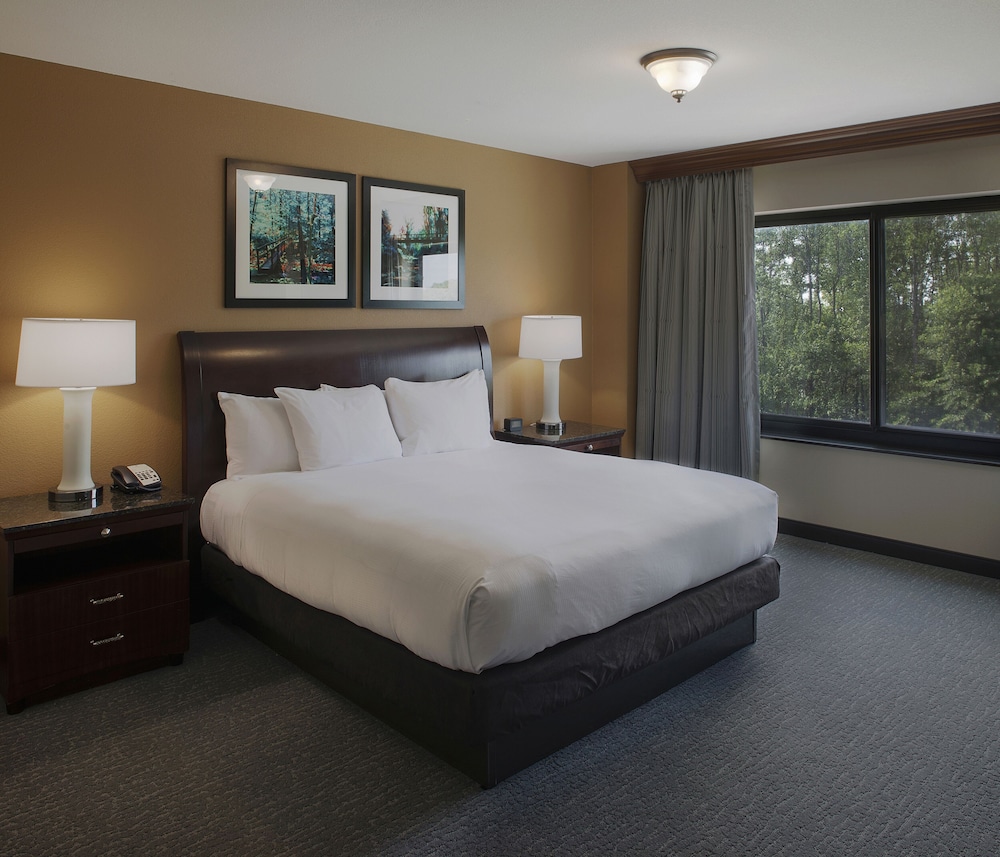 Suite, One King and One Sofa Bed - Photo 2