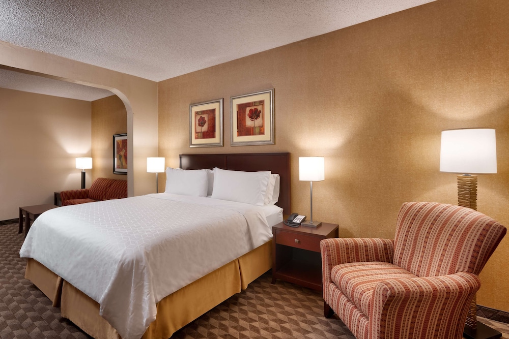 Suite, 1 King Bed, Non Smoking (with Sofabed) - Photo 2