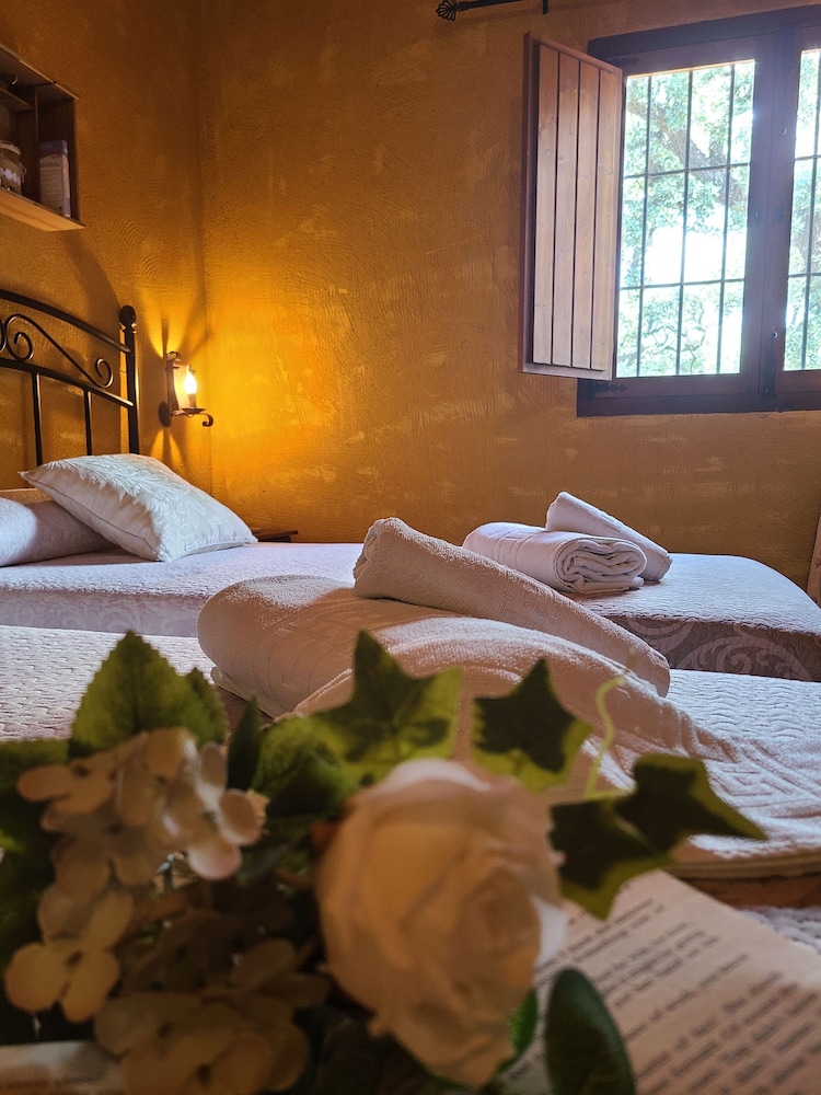 Casa Vacanze Calda con Piscina Privata nel Centro dell'Andalusia, Foto 36
