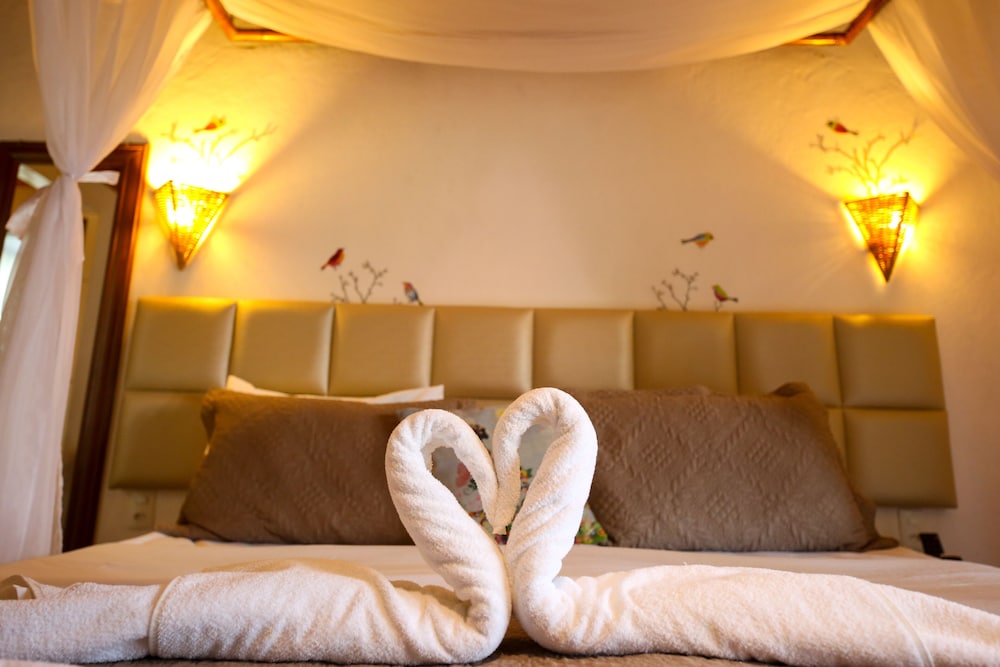 Suite Confort photo 2