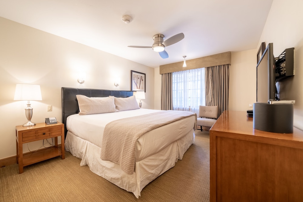 Comfort Condo #258