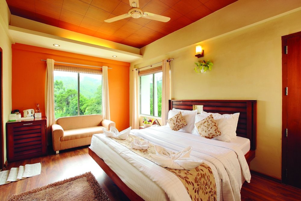 Deluxe Room, 1 King Bed photo 2