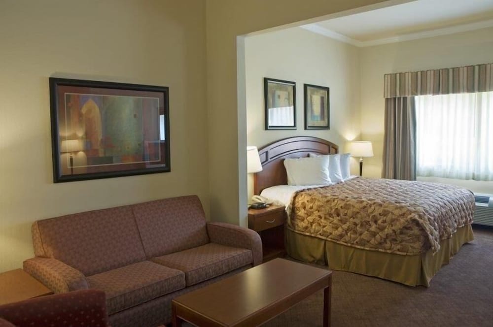 Suite, 1 King Bed, Non Smoking, Refrigerator & Microwave (with Sofa) - Photo 1