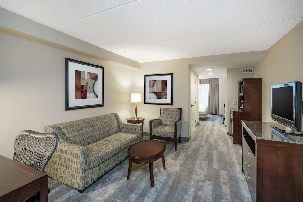 Suite, 1 King Bed, Accessible - Photo 4