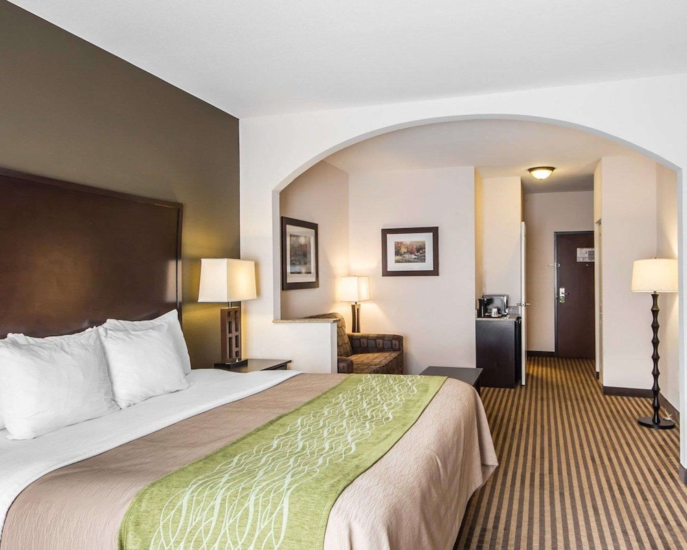 Suite, 1 King Bed, Non Smoking photo 1