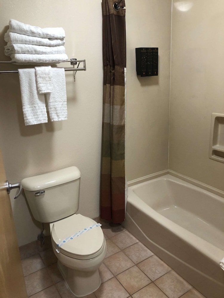 Suite, 1 King Bed, Non Smoking, Refrigerator & Microwave (with Single Sofabed) photo 3