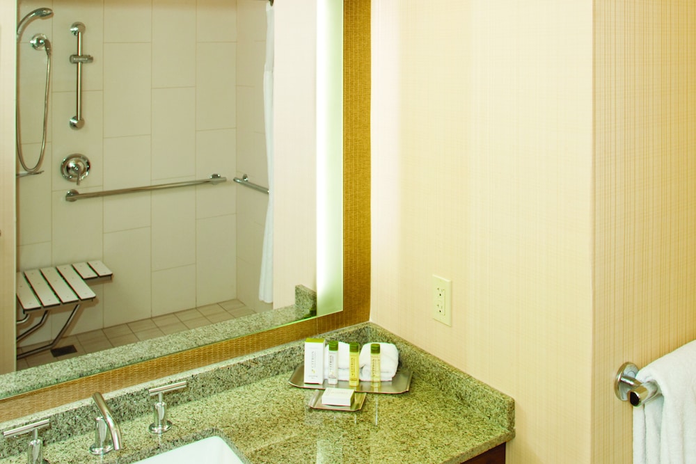 Room, 1 King Bed, Accessible, Corner (Roll-in Shower) - Photo 6