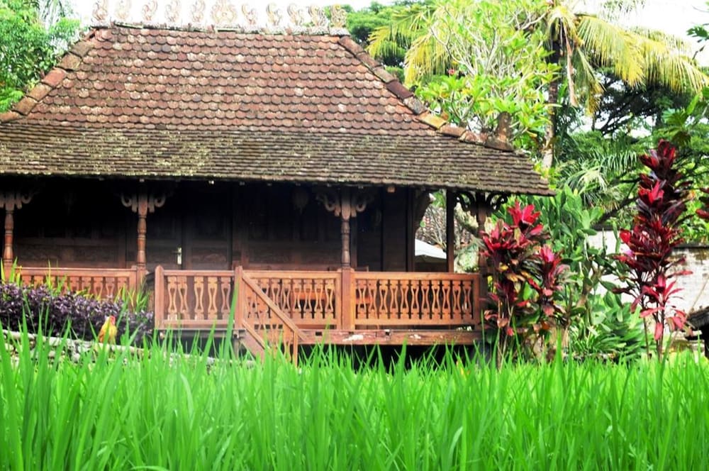 Signature Cottage, Smoking, Garden View photo 3