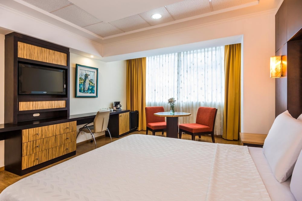 Standard Single Room - Photo 1