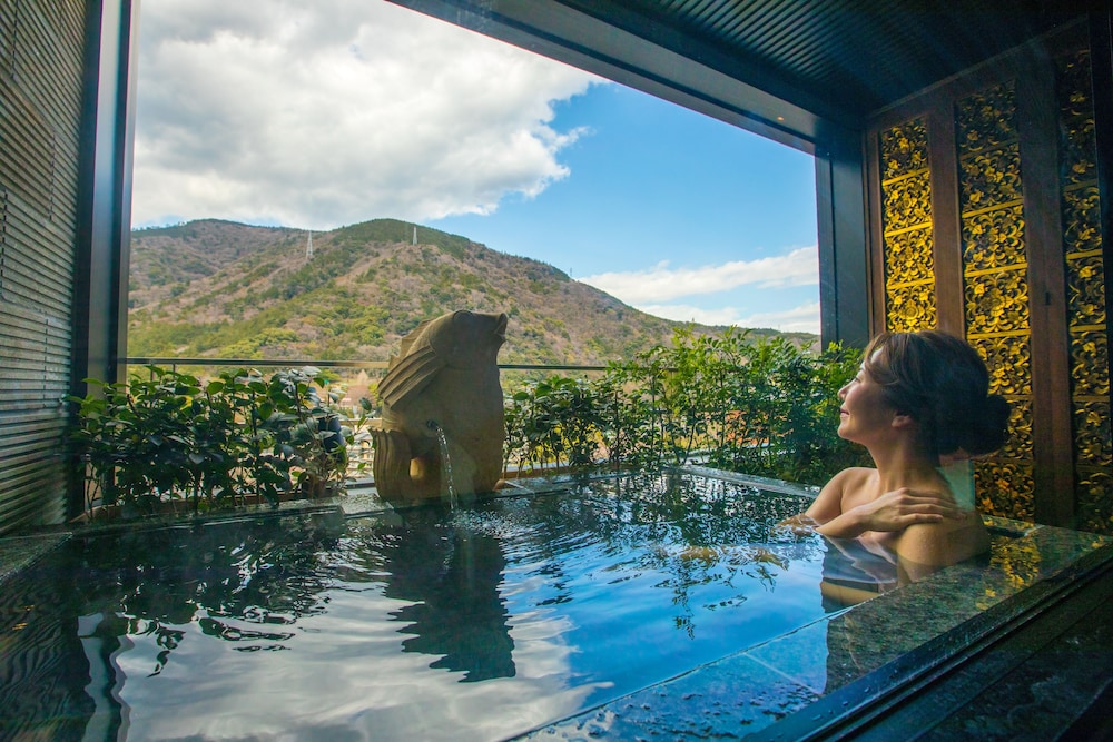 New Year Limited Deluxe Room, Non Smoking, Mountain View 4F with open-air bath + Private Room Meal photo 1