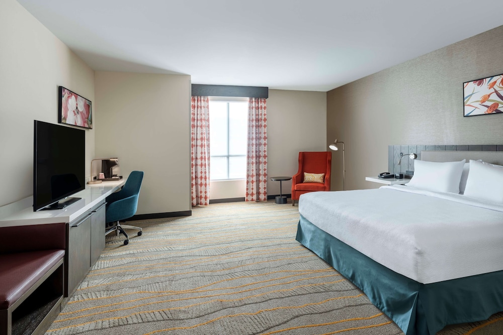 Room, 1 King Bed (Roll-In Shower, Mobility/Hearing) - Photo 3