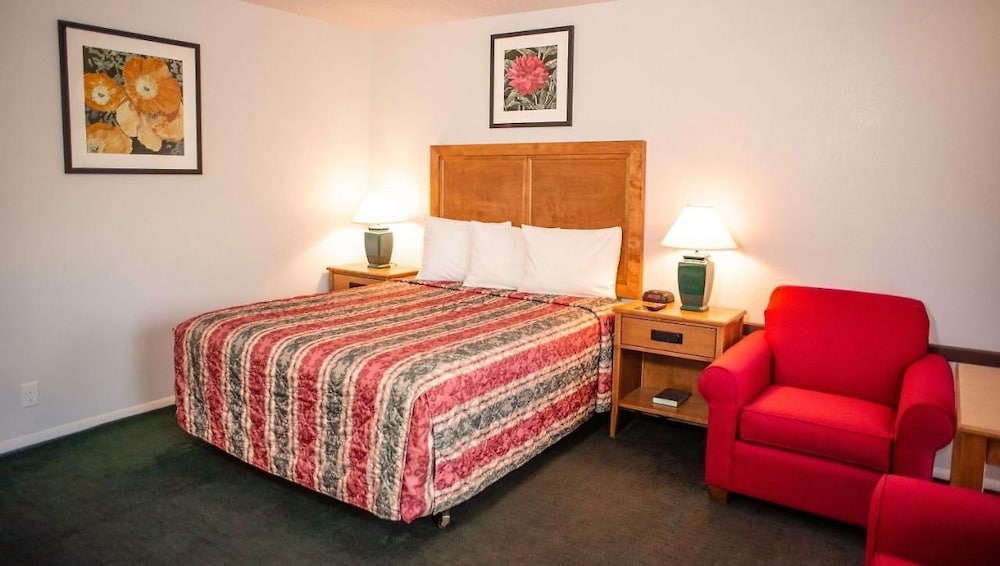 Comfort Single Room, 1 Queen Bed, Non Smoking photo 3