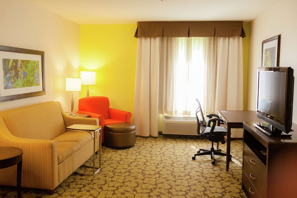 Suite, 1 King Bed photo 1