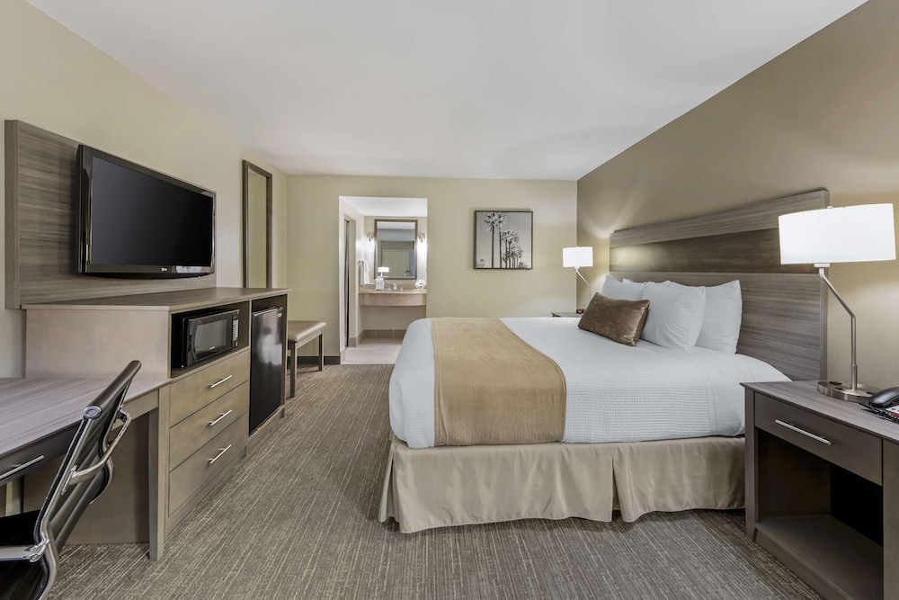 Standard Room, 1 King Bed, Accessible, Non Smoking - Photo 2