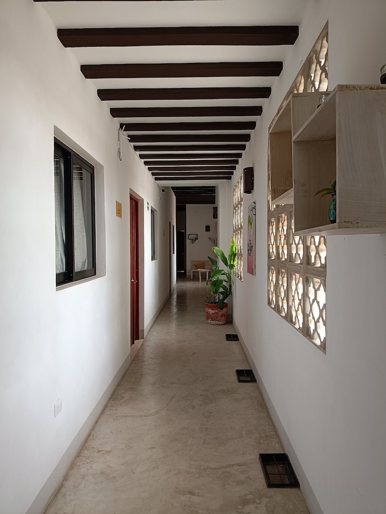 Standard Shared Dormitory, Women only photo 2