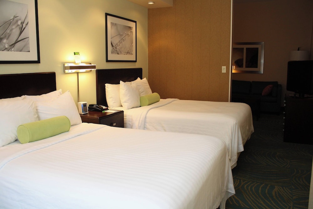 Suite, Multiple Beds photo 1
