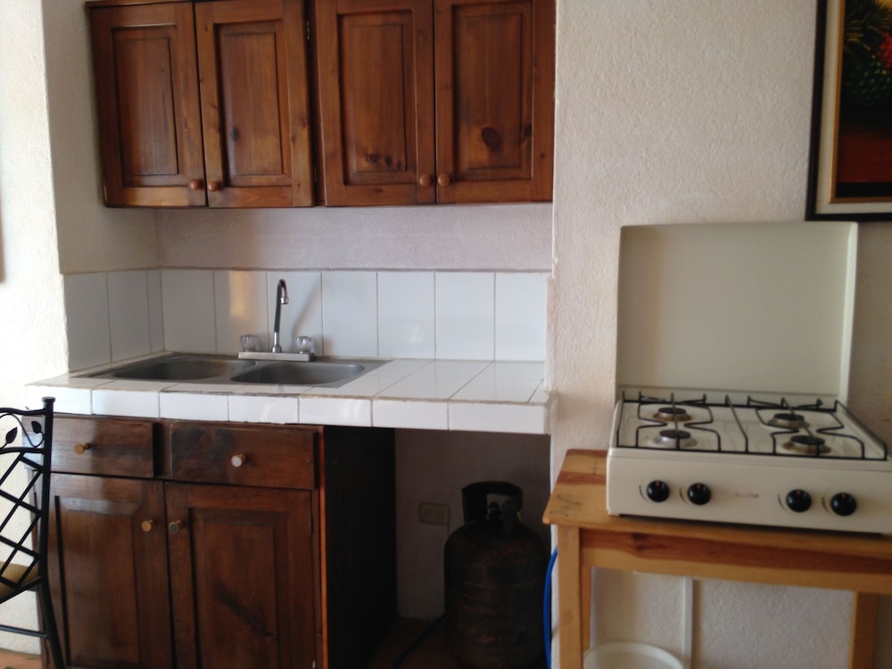Apartment, 1 Bedroom, Lake View photo 1