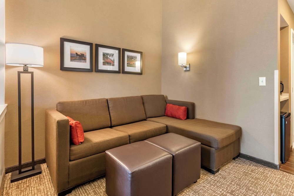 Suite, 1 King Bed with Sofa bed, Accessible, Non Smoking photo 2