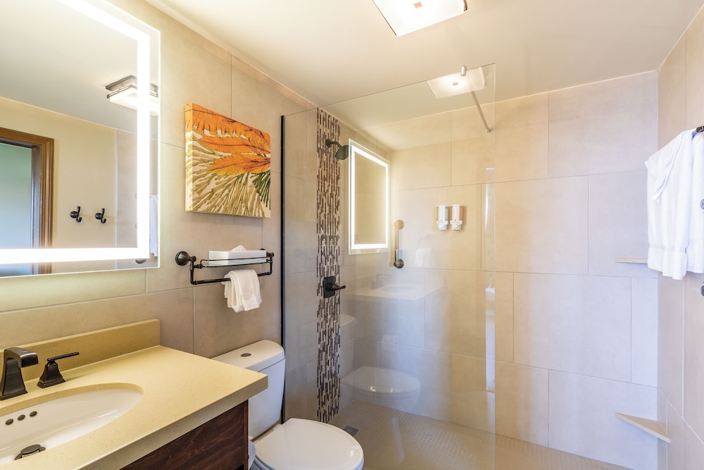 One Bedroom Deluxe 1 King