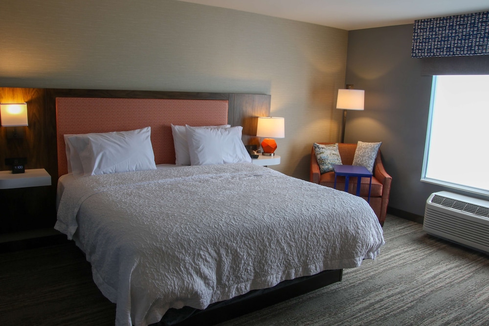 Room, 1 King Bed, Refrigerator